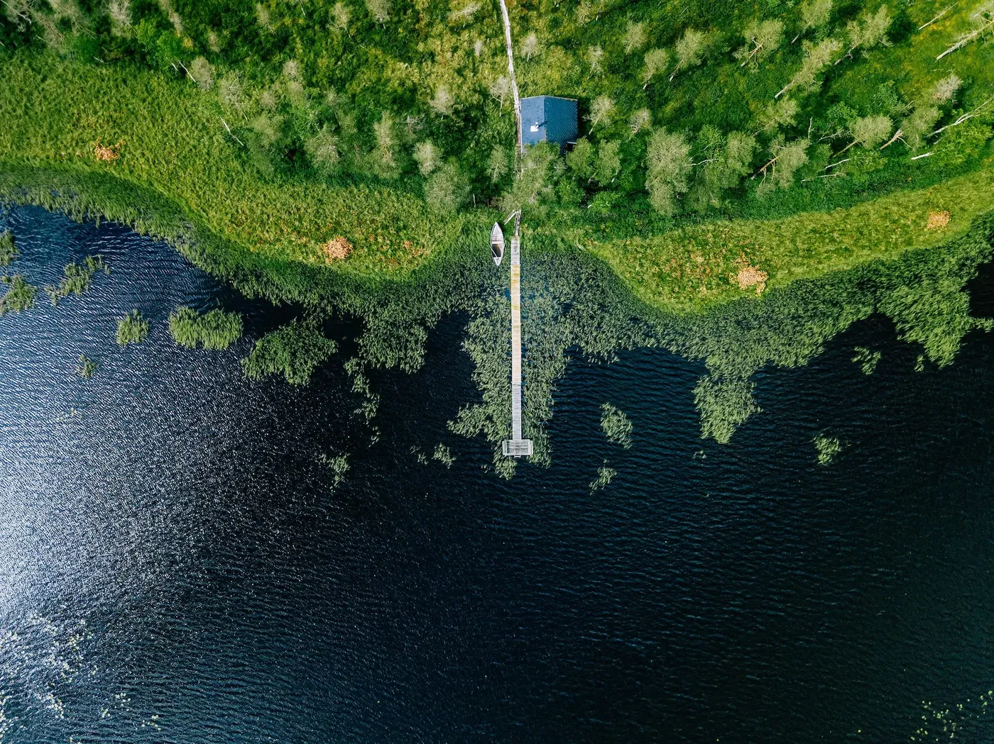 Lakeshore City