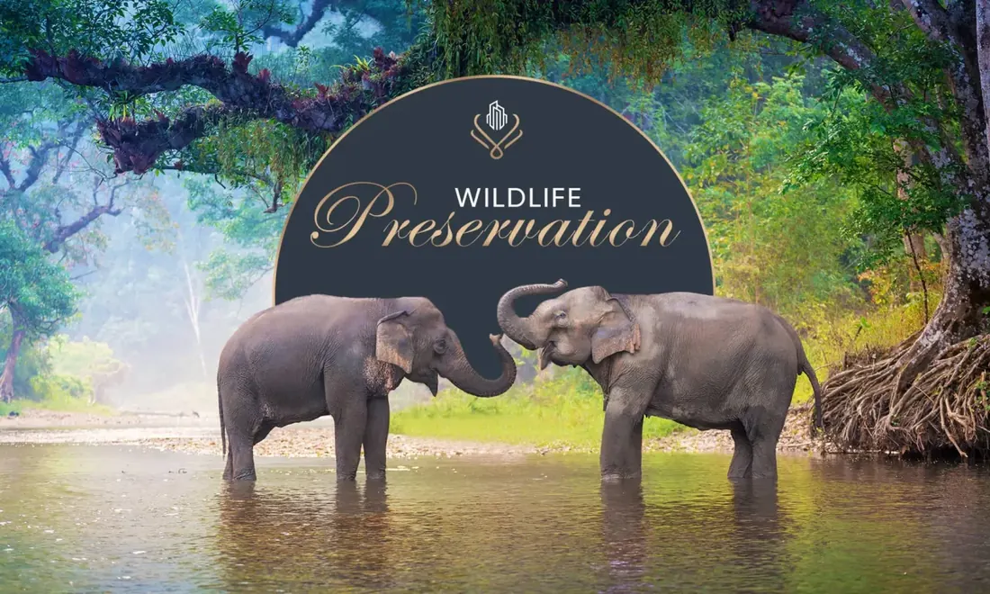 Wildlife preservation